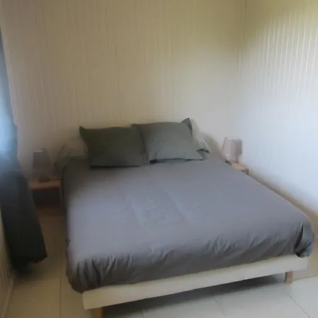 Maison Au Milieu De La Foret