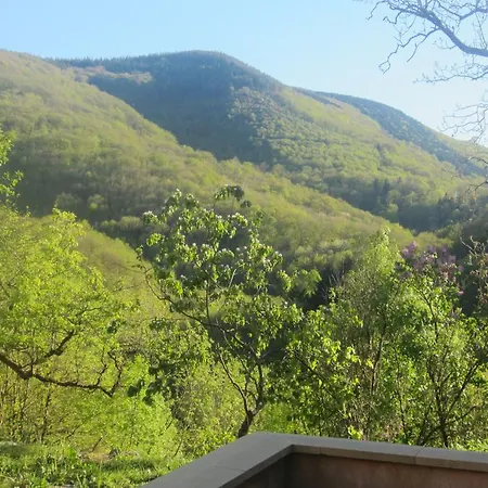 Maison Au Milieu De La Foret *