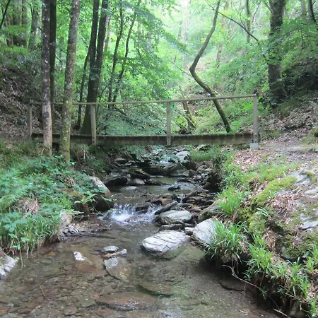 Ferienhaus Maison Au Milieu De La Foret