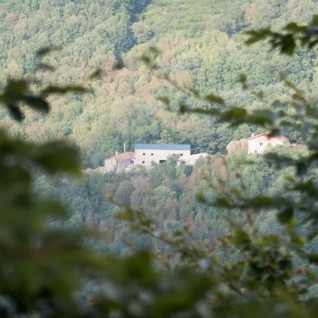 Maison Au Milieu De La Foret *