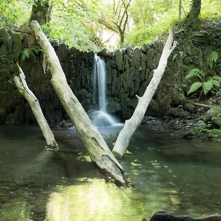 Maison Au Milieu De La Foret Ferienhaus *