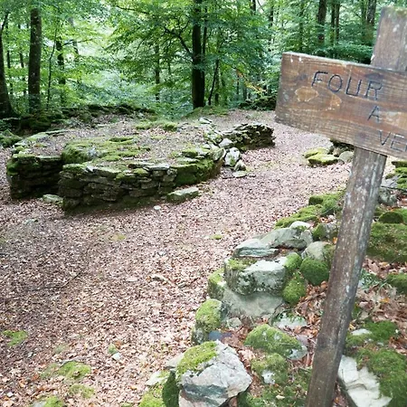 Maison Au Milieu De La Foret
