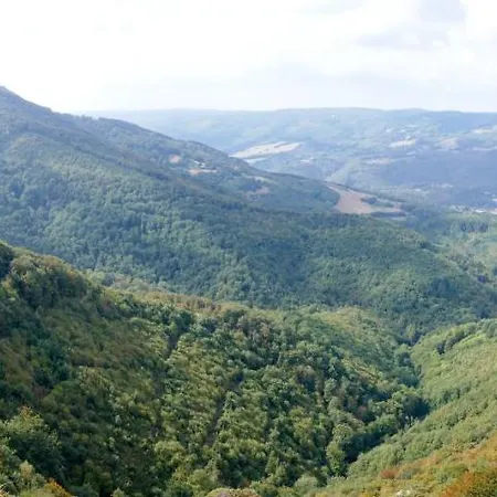 Ferienhaus Maison Au Milieu De La Foret Labastide-Rouairoux