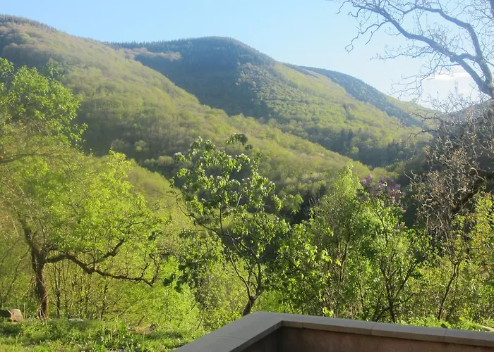 Maison Au Milieu De La Foret *