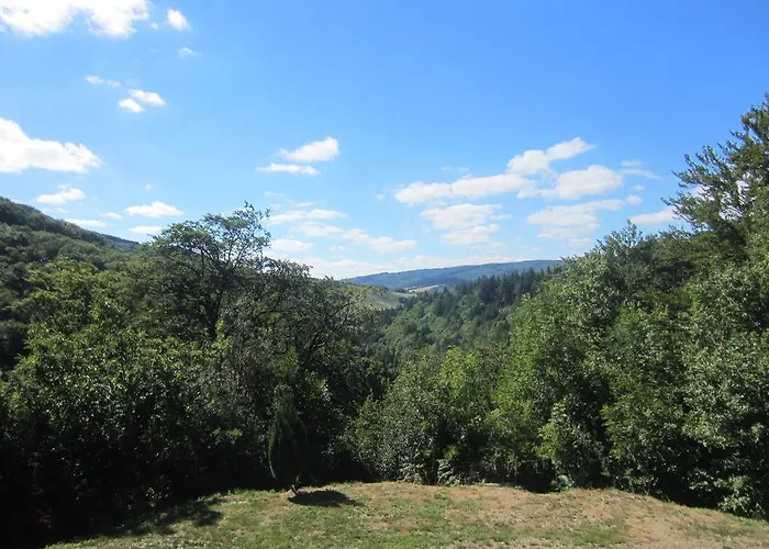 Maison Au Milieu De La Foret 別荘 Labastide-Rouairoux