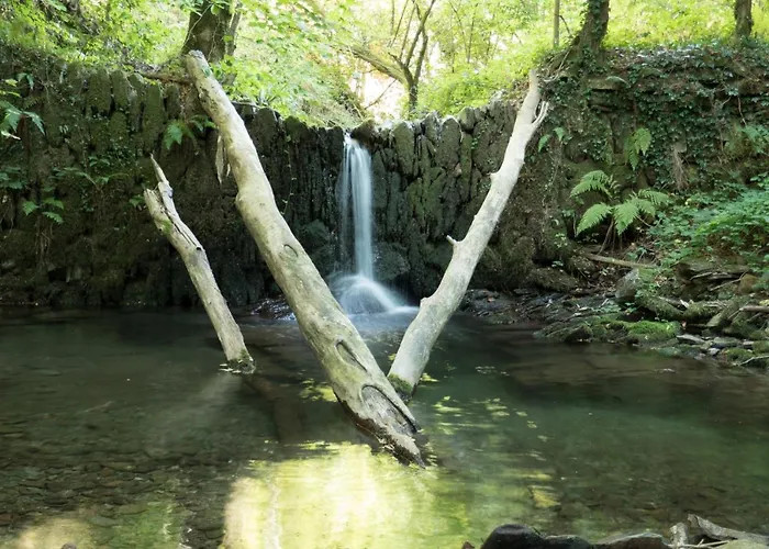 Maison Au Milieu De La Foret 別荘 *