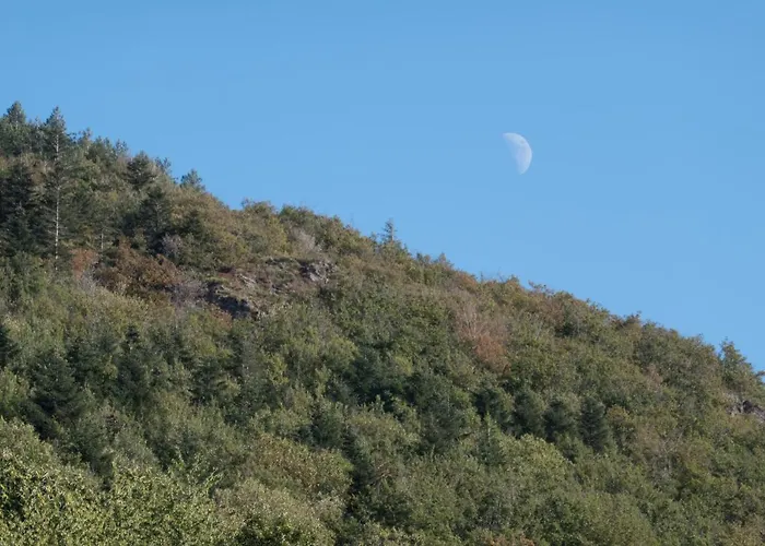 Maison Au Milieu De La Foret 別荘 *