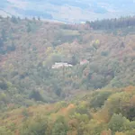 Maison Au Milieu De La Foret * Labastide-Rouairoux