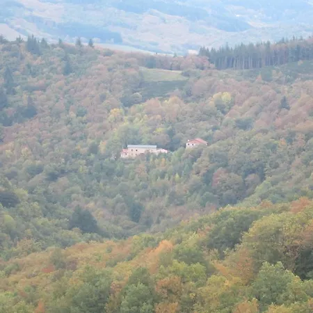 Maison Au Milieu De La Foret * Labastide-Rouairoux