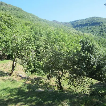 Prázdninový dům Maison Au Milieu De La Foret *