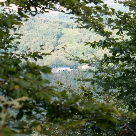 Prázdninový dům Maison Au Milieu De La Foret