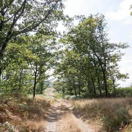 Maison Au Milieu De La Foret Labastide-Rouairoux
