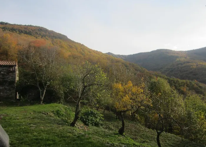 Maison Au Milieu De La Foret