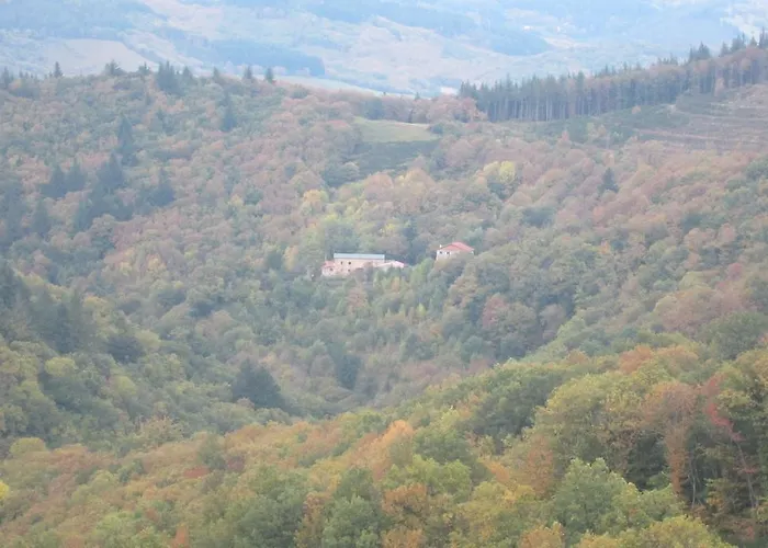 Maison Au Milieu De La Foret * Labastide-Rouairoux