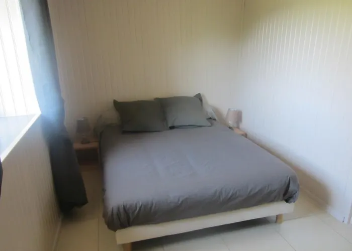 Maison Au Milieu De La Foret