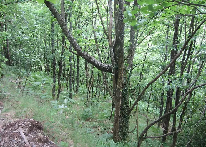 Maison Au Milieu De La Foret 度假居