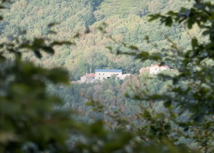 Maison Au Milieu De La Foret *