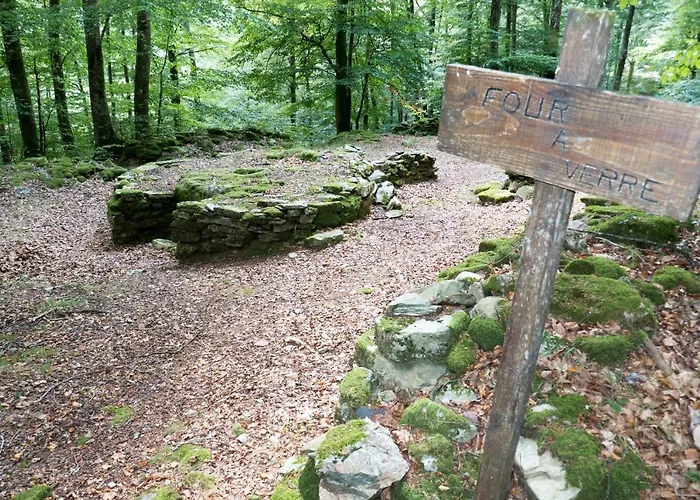 Maison Au Milieu De La Foret