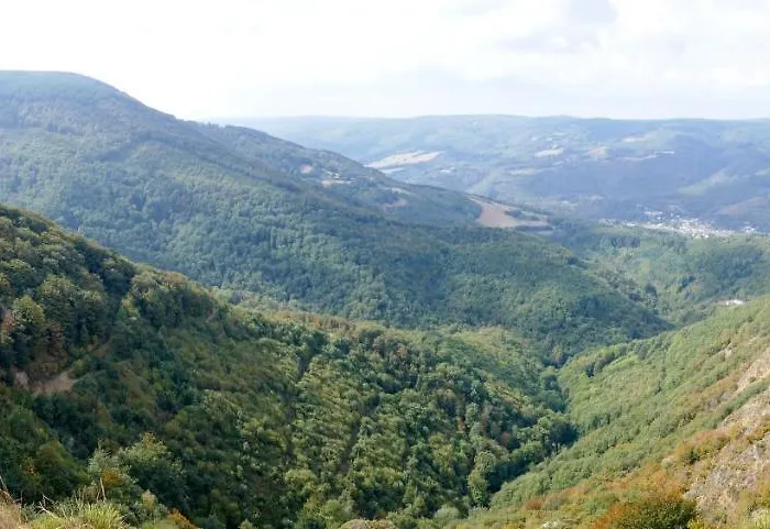 度假居 Maison Au Milieu De La Foret Labastide-Rouairoux