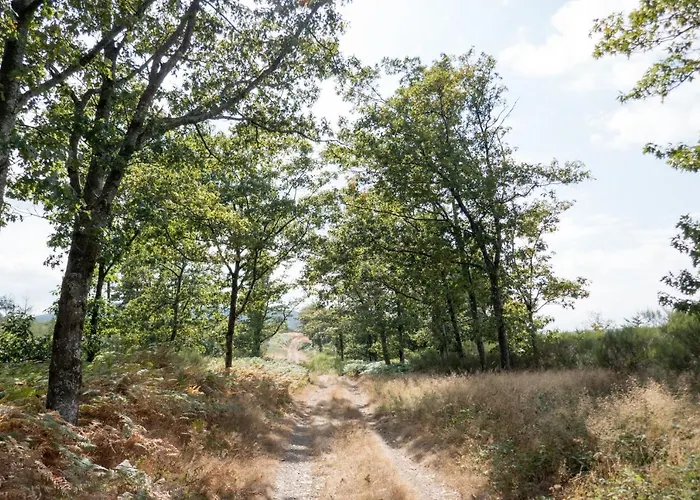 Maison Au Milieu De La Foret Labastide-Rouairoux